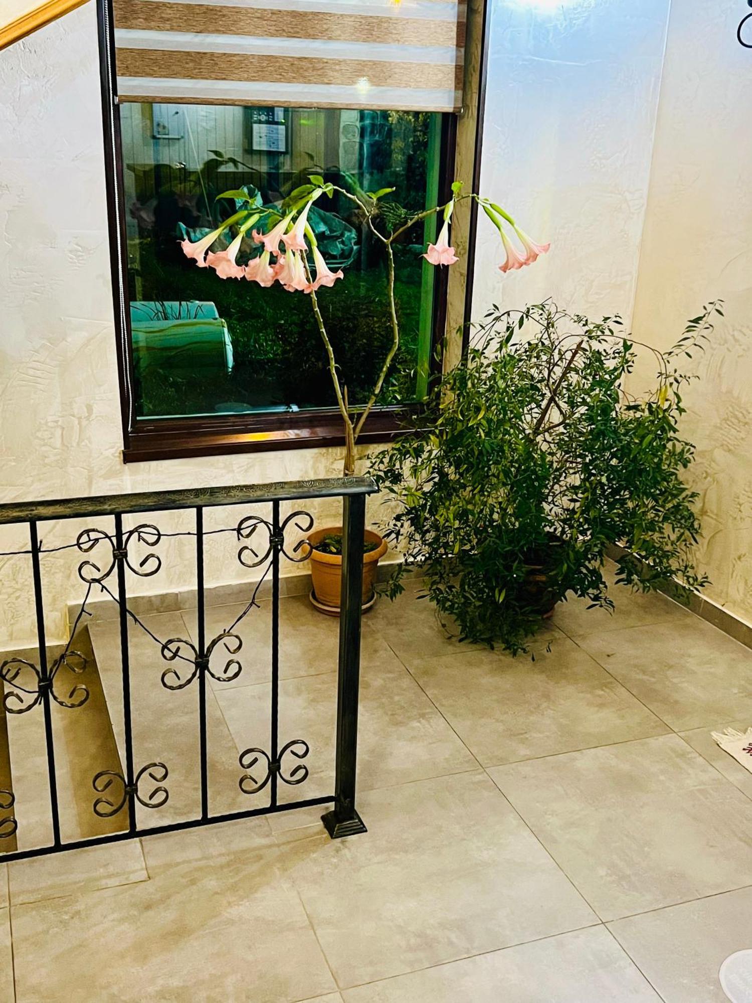 Hotel Elite House Mestia Exterior photo